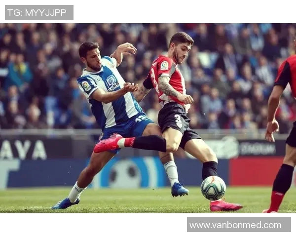 努涅斯的崛起与挑战：解析这位新星在足球界的影响力与未来潜力